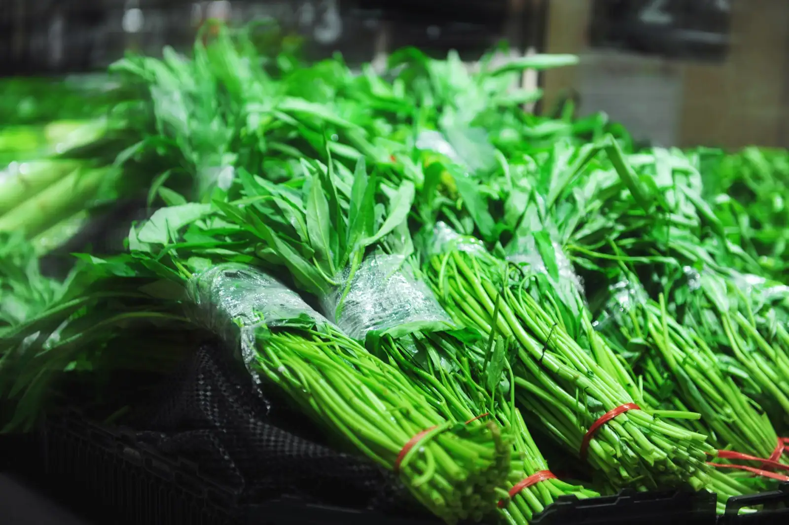 渝中区千娱音服装店运动鞋与休闲鞋选购指南：材质与设计对比分析